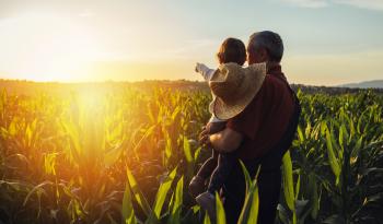 A family standing in a corn field an looking at the sunrise.